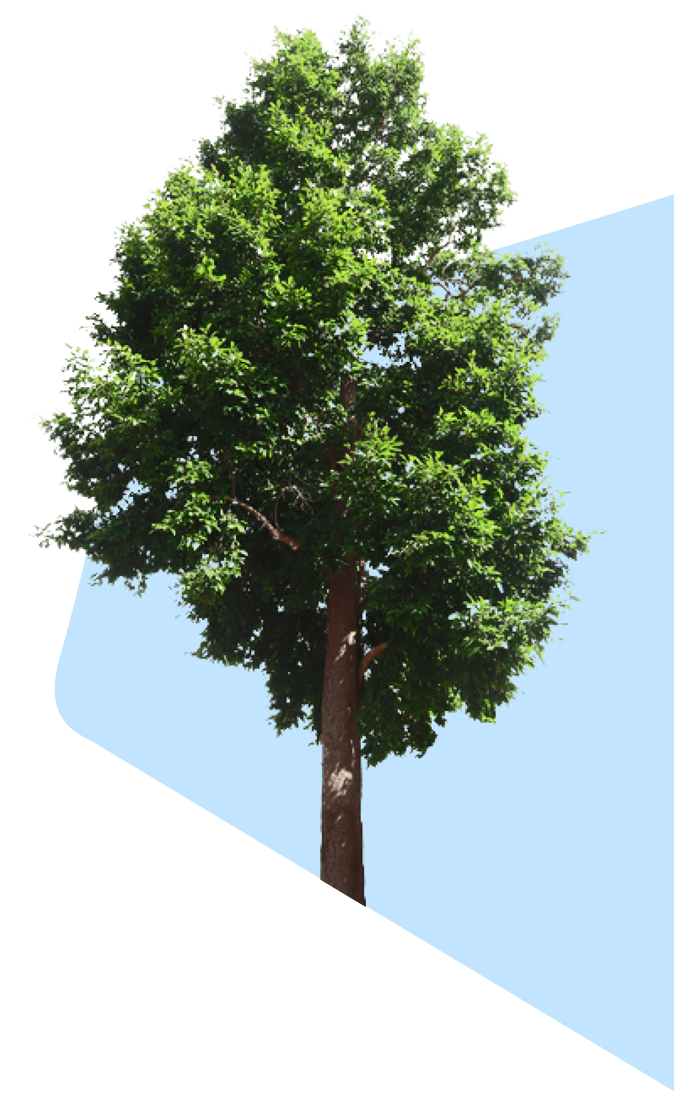 Green Storage Facility